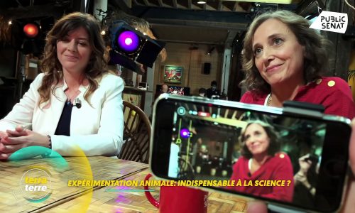 Expérimentation-animale-indispensable-à-la-science-Terra-terre-03012021