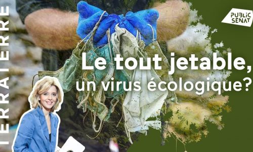 Le-tout-jetable-virus-écologique-Terra-terre-24112020