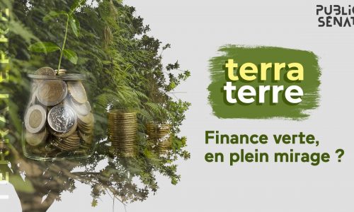 Terra-Terre-Finance-verte-en-plein-mirage-