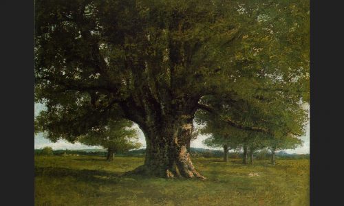 tous avec courbet