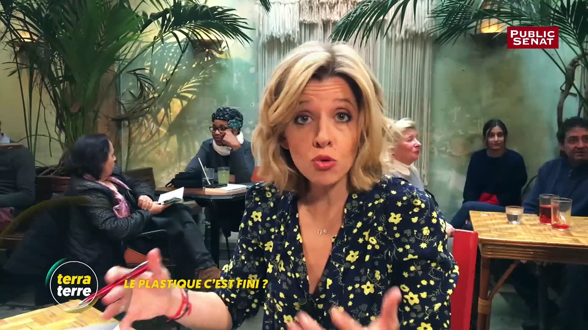 Le-plastique-cest-fini-Terra-terre-26022019
