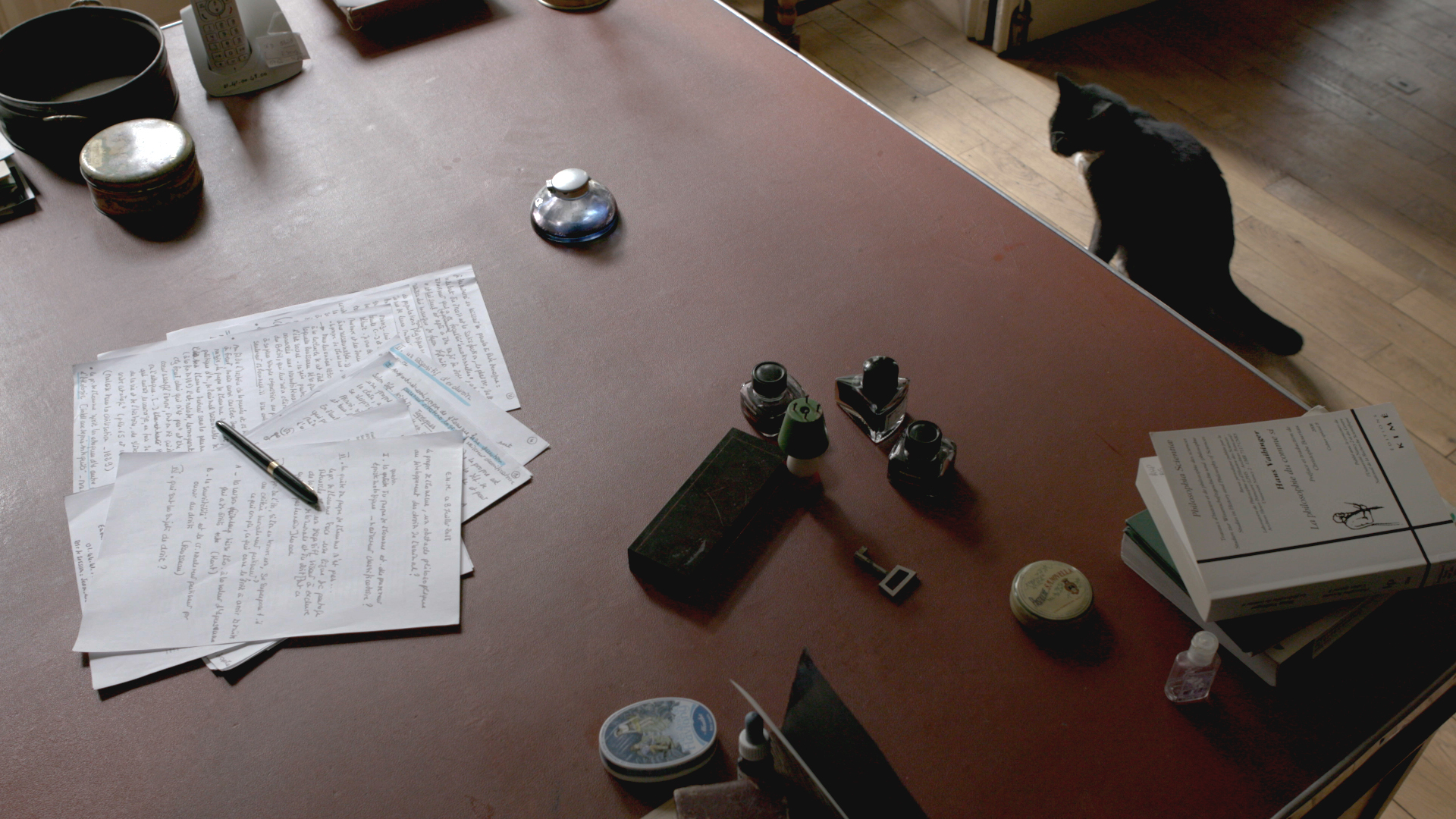 Les ecrivains le silence et les chats