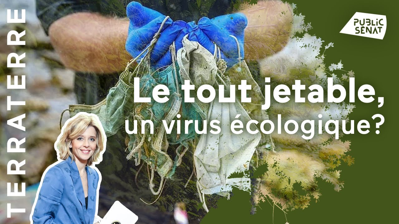 Le-tout-jetable-virus-écologique-Terra-terre-24112020
