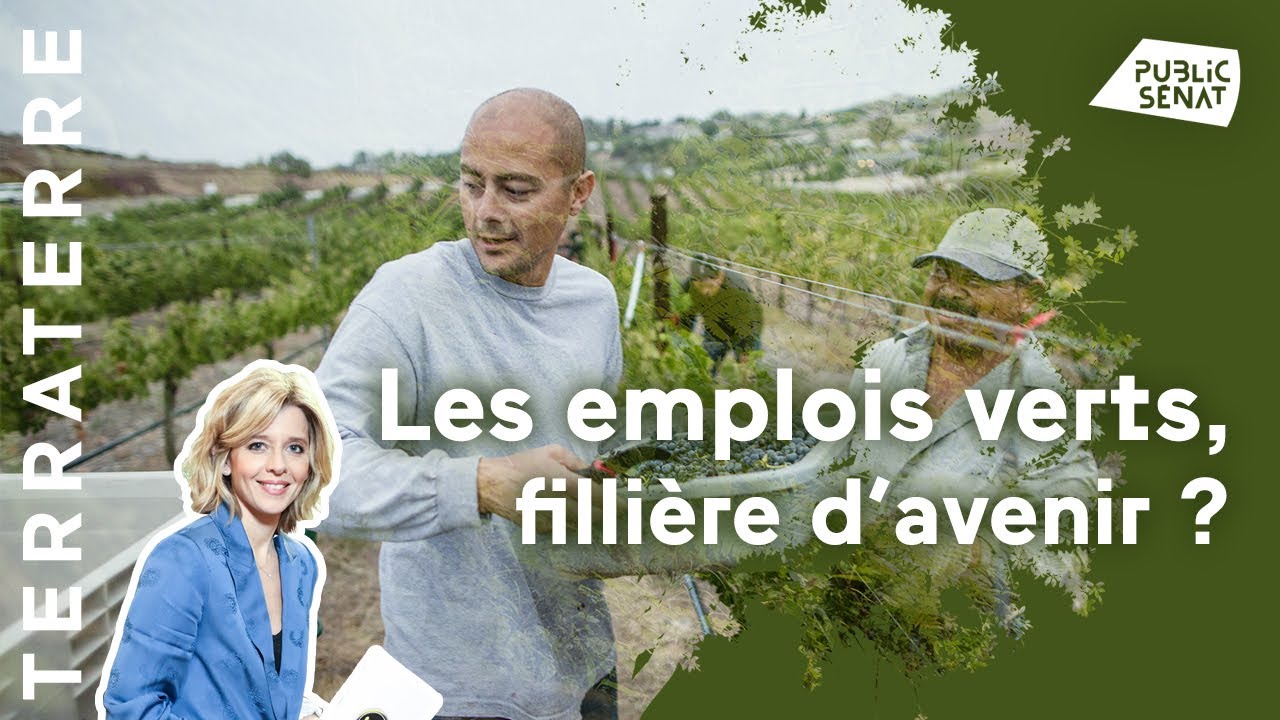 Les-emplois-verts-filière-d´avenir-Terra-terre-03112020
