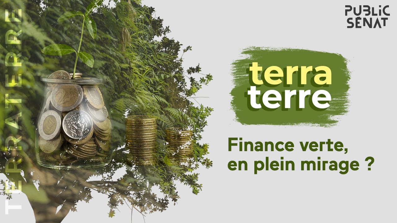 Terra-Terre-Finance-verte-en-plein-mirage-